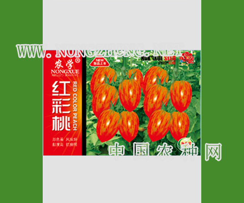 红彩桃西红柿种子
